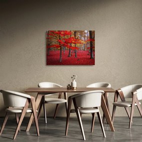 Sklenený obraz - Červený les (70x50 cm)