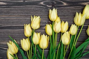 Obraz očarujúce žlté tulipány na drevenom podklade - 120x80