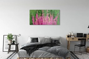 Obraz plexi Kvety vresy 125x50 cm