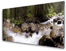 Sklenený obklad Do kuchyne Les rieka vodopády 125x50 cm