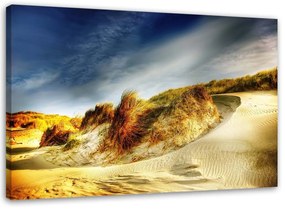 Obraz na plátně Písečná pláž Dunes - 120x80 cm
