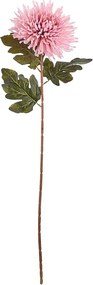 FLORISTA Chryzantéma 73 cm - ružová