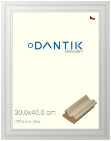 DANTIK rám na obraz 30x40 | LYON Bílá (Plexi Čiré)