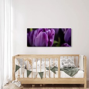 Obraz kvetov tulipánov (120x50 cm)