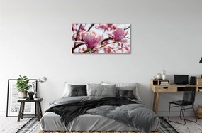 Obraz canvas magnólia strom 120x60 cm