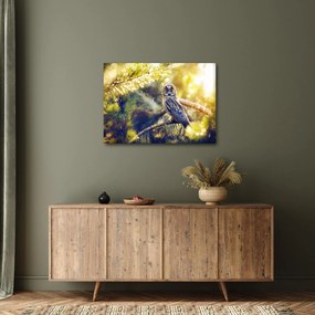 Obraz sovy na strome (70x50 cm)