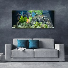 Obraz plexi Ryba kamene listy príroda 125x50 cm