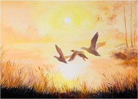 Obraz - Žeriavy pri západe slnka (70x50 cm)
