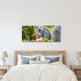 Obraz lemura (120x50 cm)