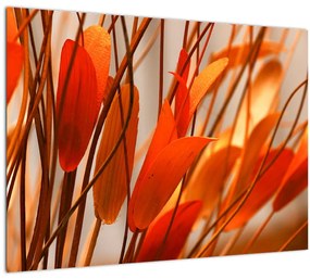 Sklenený obraz okvetných lístkov (70x50 cm)