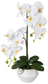Gasper Orchidea v keramickom kvetináči, 52 cm, biela