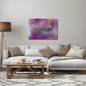 Obraz kvapôčok na páperí (70x50 cm)