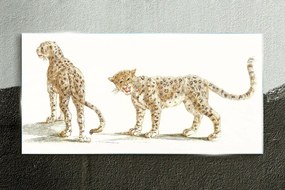 Obraz na skle Zvieratá mačky leopardy