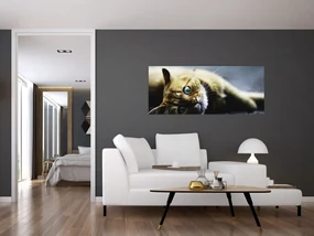 Obraz mačiatka (120x50 cm)