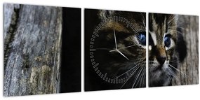 Obraz mačiatka (s hodinami) (90x30 cm)