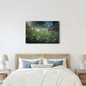 Obraz - Čarovná noc (90x60 cm)