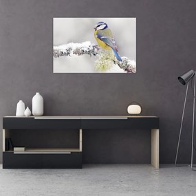 Obraz - Sýkorka modrinka v lese (90x60 cm)