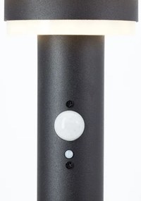 Brilliant - LED Solárna lampa so senzorom GARVINA LED/3W/3,7V 45 cm IP44 čierna