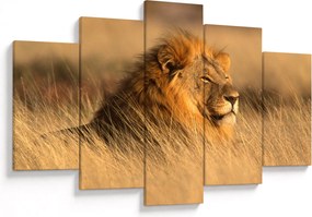 Obraz - Národný park Etosha (150x105 cm)