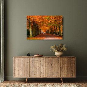 Obraz - Jeseň Alej stromov (90x60 cm)