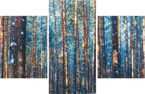 Obraz - Zimný les (90x60 cm)