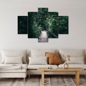 Obraz - Cesta lesom (150x105 cm)