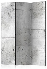 Paraván - Concretum murum [Room Dividers] Veľkosť: 135x172, Verzia: Akustický