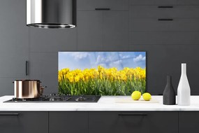 Sklenený obklad Do kuchyne Tulipány kvety rastlina 120x60 cm