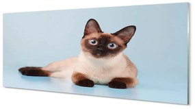 Obraz na akrylátovom skle Ležiace mačka 120x60 cm