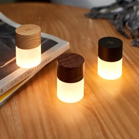 Čierna svetelná dekorácia na USB ø 4,5 cm Lemelia – Gingko