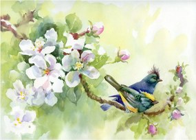 Sklenený obraz - Jar (70x50 cm)