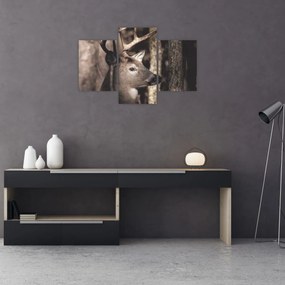 Obraz - Jeleň v lese (90x60 cm)