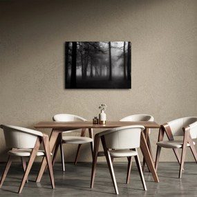 Obraz - Les v hmle (70x50 cm)