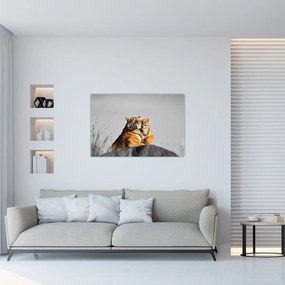 Obraz - Tigrice a jej mláďa, čiernobiely variant (90x60 cm)