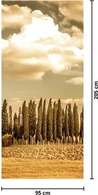 Fototapeta na dvere - Lúka (95x205cm)