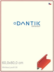 DANTIK rám na obraz 60x80 | ALU Dýha barevná červená třešeň (Plexi Čiré)