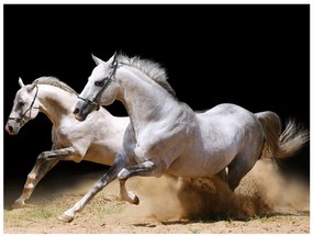 Artgeist Fototapeta - Galloping horses on the sand Veľkosť: 200x154, Verzia: Premium