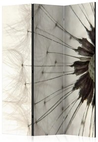 Artgeist Paraván - White Dandelion [Room Dividers]