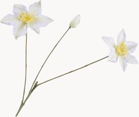 Rastlinné dekorácie Clematis, 2 ks