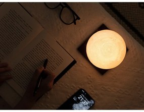 Tmavohnedá svetelná dekorácia na USB ø 12 cm Smart LunaSpin – Gingko