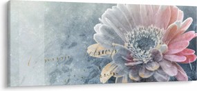 Obraz - Zimný kvet (120x50 cm)