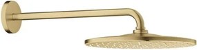Grohe Rainshower Mono hlavová sprcha vrátane sprchového ramená kartáčovaný cool sunrise 26558gn0 G26558GN0