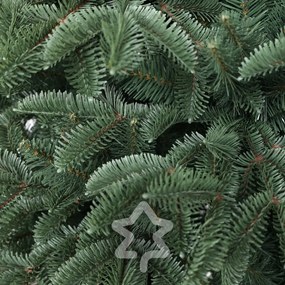 Smrek Oregon extra hustý 180 cm