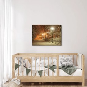 Obraz - Zasnežený park (70x50 cm)