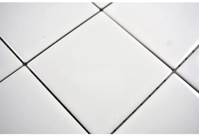 Keramická mozaika CQ 100 30x30 cm