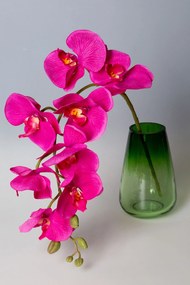 Dekoratívna kvetina 95 cm , s kvetmi 40 cm, priemer kvetu 10 cm, purpurová