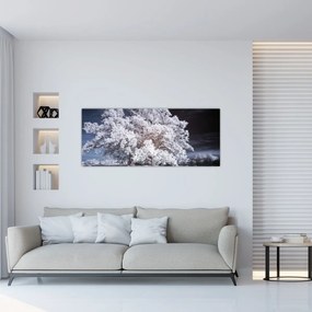Obraz - Snehobiely strom (120x50 cm)