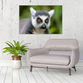 Obraz lemura (90x60 cm)