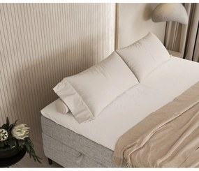Svetlosivá boxspring posteľ s úložným priestorom 160x200 cm Araya – Maison de Rêve