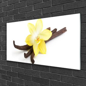 Skleneny obraz Vanilka rastlina príroda 100x50 cm